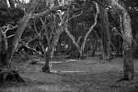 Washington Park