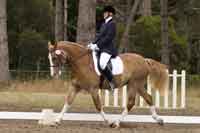 Chris and Roy in competition