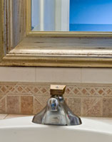 Moen Adler Faucet