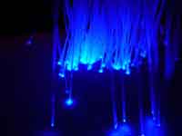 Fiber Optic
