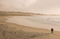 Asilomar State Beach, Pacific Grove, CA, USA