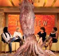 New squid co-host on The View
