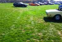 All Italian Car and Motorcycle Show
