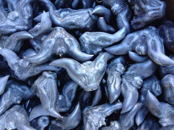 Water caltrops