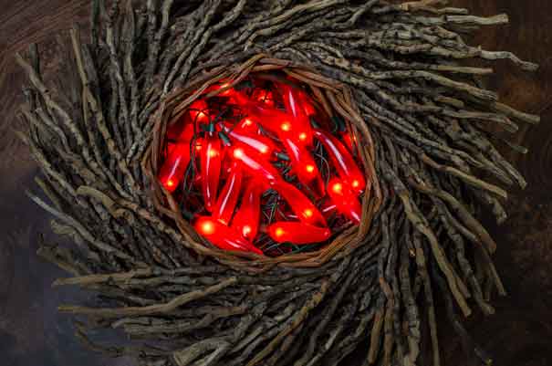 Bird Nest Basket with Chili Pepper Lights