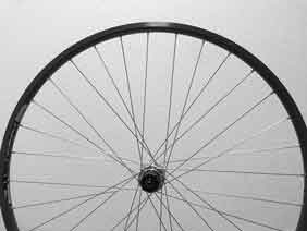 Mavic Open Pro CD rim with Campagnolo 8 Speed Hub