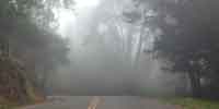 Fog, Bike Ride, Skyline Boulevard, Oakland, CA