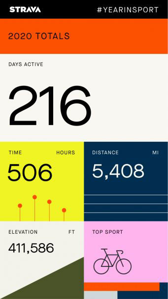 2020 Strava stats